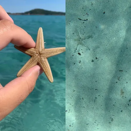 Bed & Breakfast D'hotes Terra Bella 3*