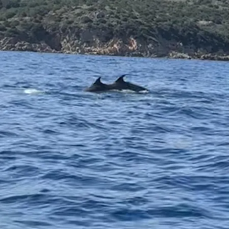 D'hotes Terra Bella Lecci Lecci