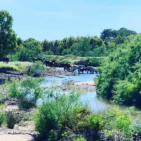 Panzió D'hotes Terra Bella Lecci Porto-Vecchio