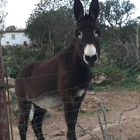 住宿加早餐酒店 D'hotes Terra Bella Lecci 3*