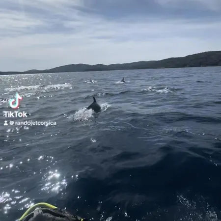 Bed & Breakfast D'hotes Terra Bella Lecci 3*