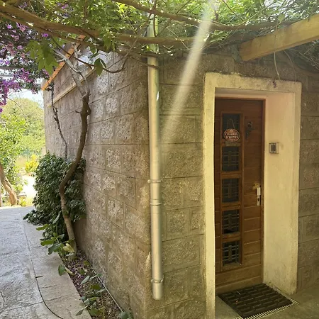 D'hotes Terra Bella 3* ليسي