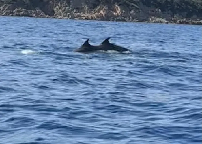 D'hotes Terra Bella 里奇