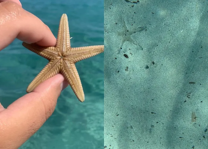 住宿加早餐酒店 D'hotes Terra Bella 3*