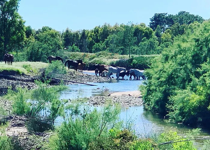 住宿加早餐酒店 D'hotes Terra Bella 里奇