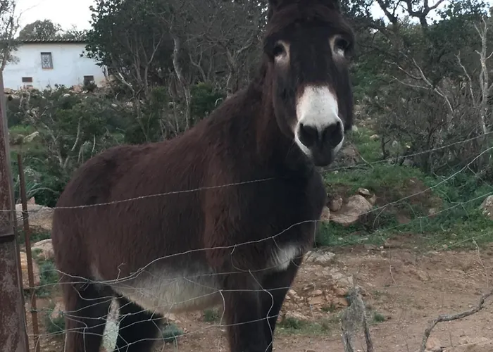 Bed & Breakfast D'hotes Terra Bella 3*